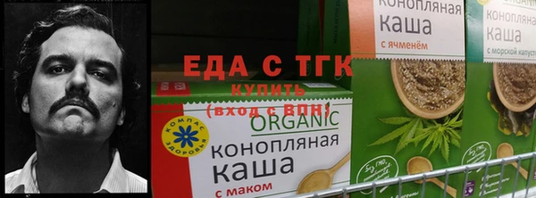spice Алзамай