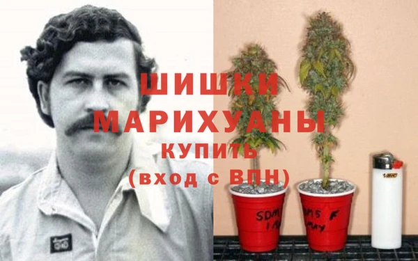 spice Алзамай