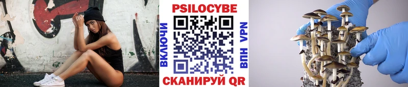 где купить наркотик  Нижняя Тура  MEGA   Псилоцибиновые грибы GOLDEN TEACHER 